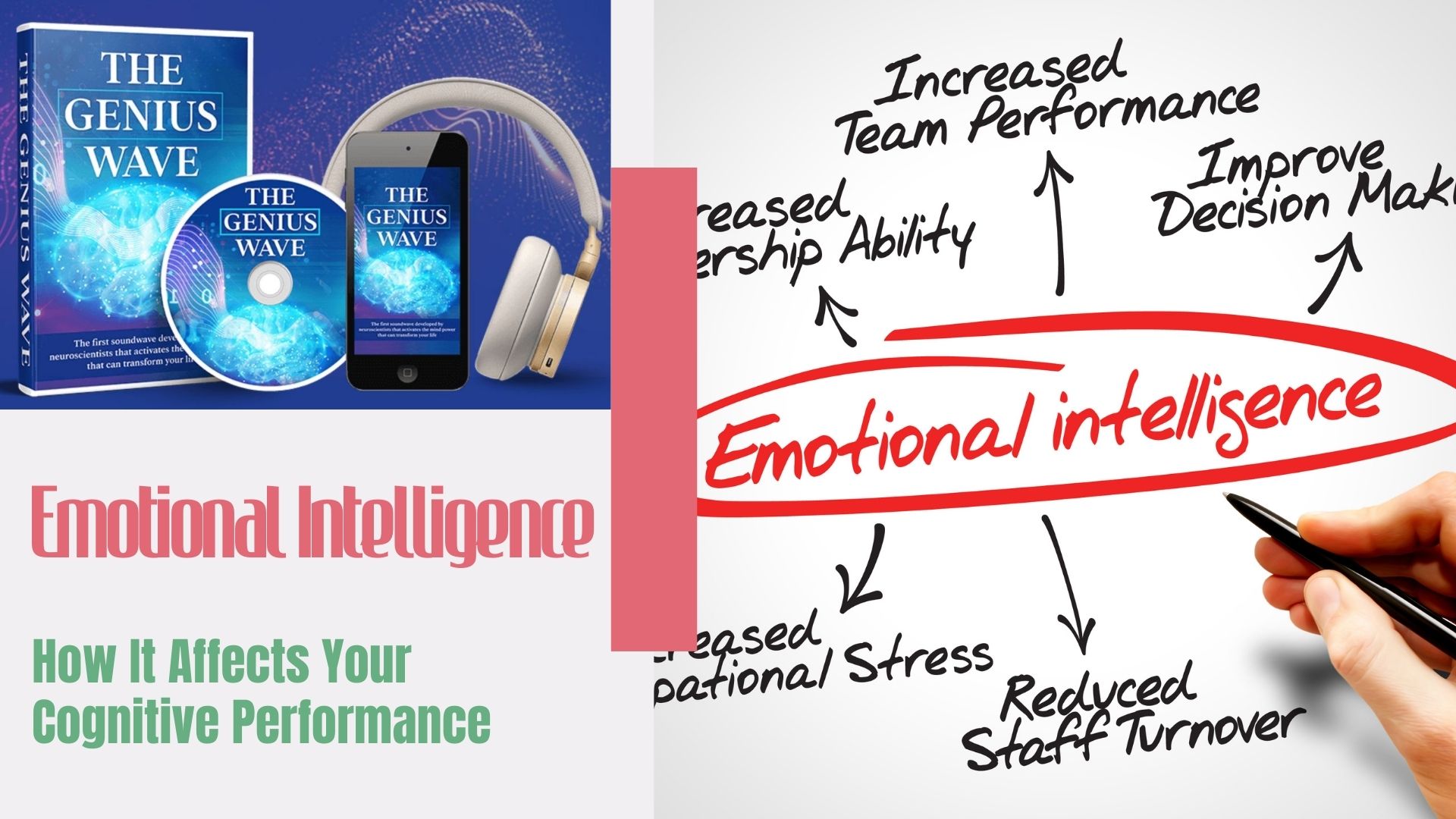 Emotional Intelligence: How It Affects Your Cognitive Performance