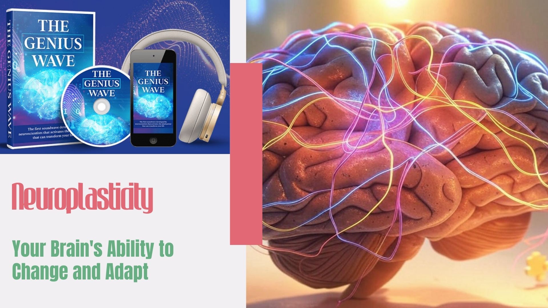 Neuroplasticity: Your Brain’s Ability to Change and Adapt