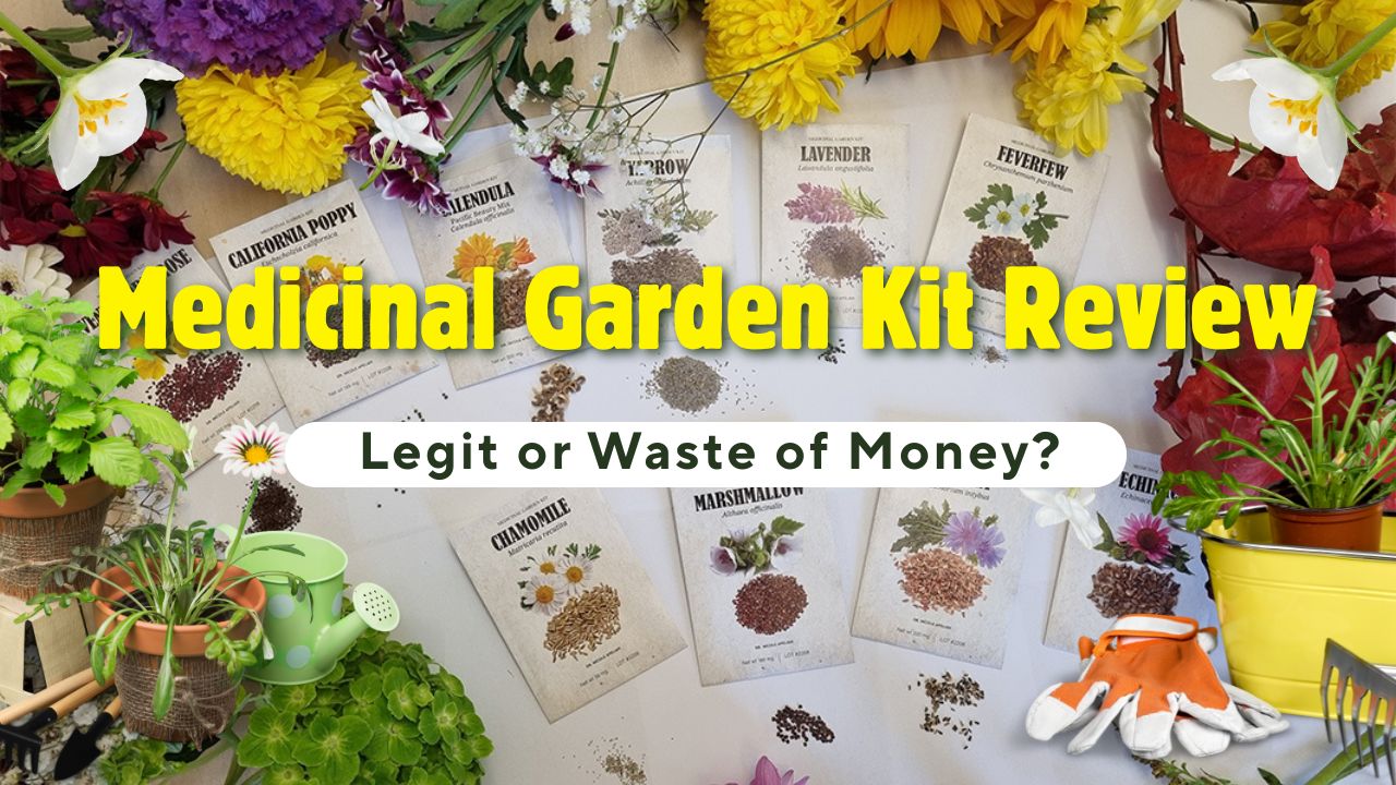 Medicinal Garden Kit Review: I Grew a Backyard Pharmacy for  — Here’s What Actually Happened